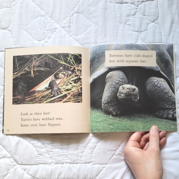 3/$15 🌸 Look-Alike Animals - Picture 6 of 7